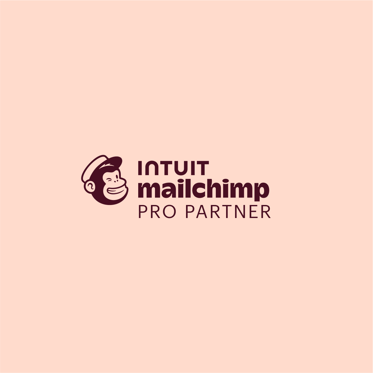 Intuit Mailchimp Pro Partner